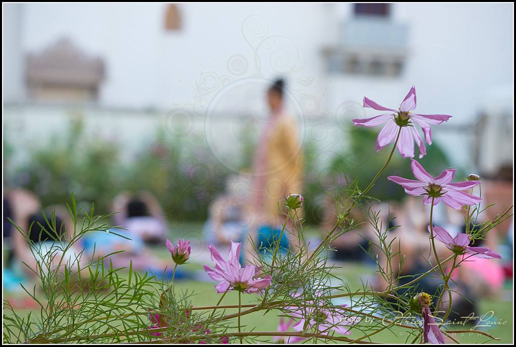 So Yoga Studio