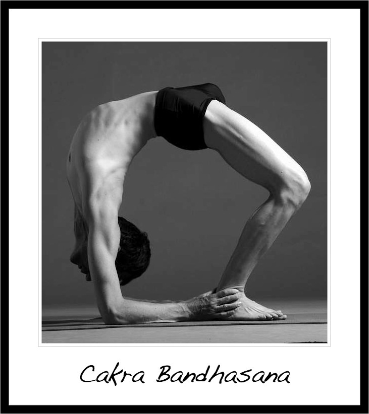Vinyasa Yoga Studio 