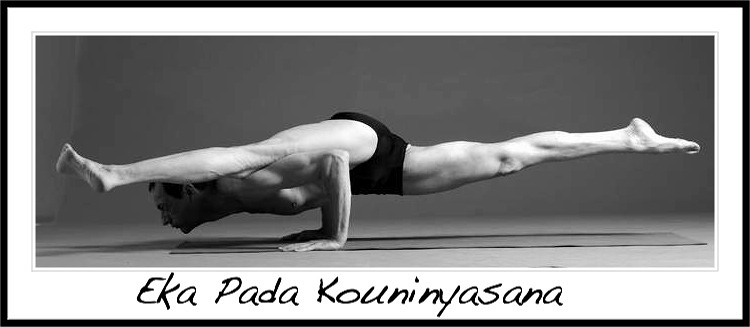 Vinyasa Yoga Studio 