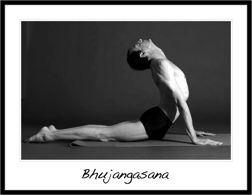 Vinyasa Yoga Studio