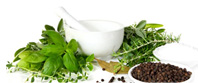 Veda Guru Ayurveda