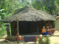  Wayanad