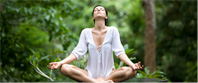 Veda Guru Ayurveda