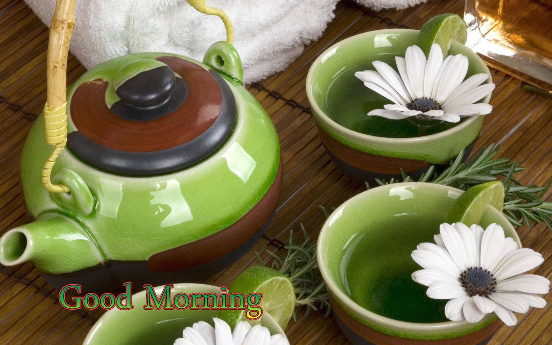 Vibrant Ayurveda Wellness Centre 