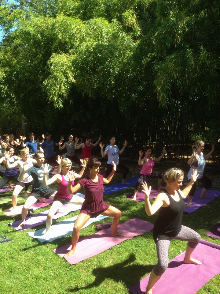 Yoga Altitude Cours Yoga 