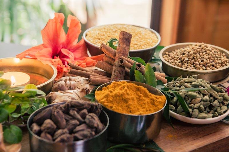 Yoga Therapy And Ayurveda Wellness Centre 