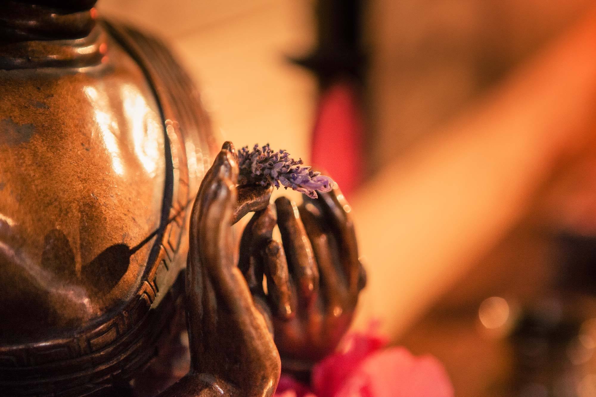 Yoga Therapy And Ayurveda Wellness Centre 