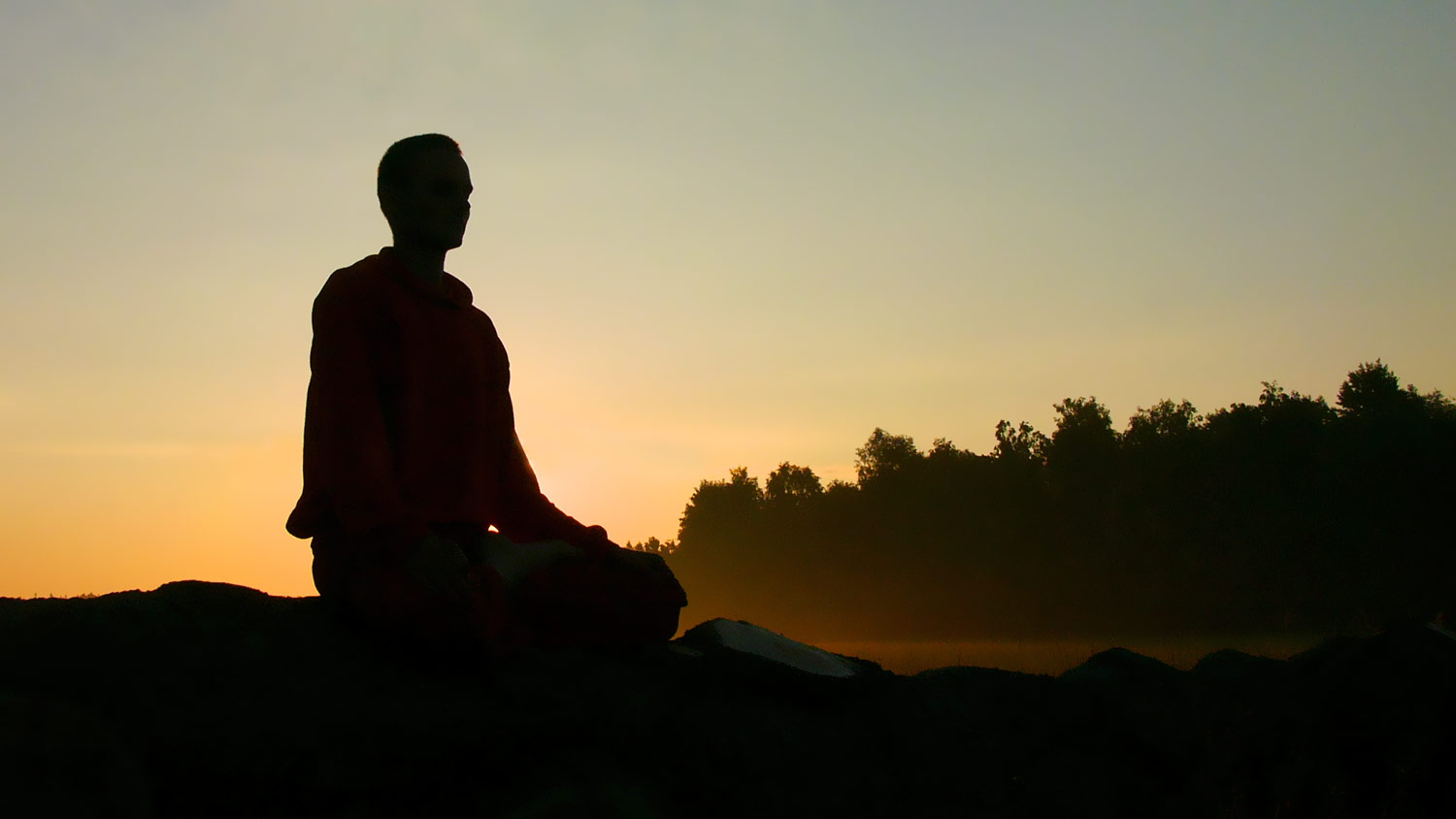 Yoga And Meditation Studio 
