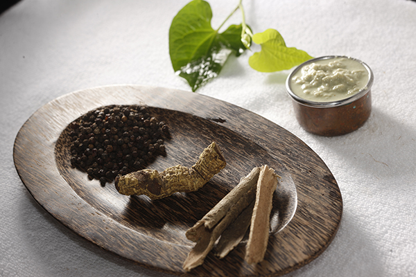 Absolute Ayurveda Resort