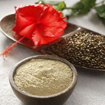 Absolute Ayurveda Resort India