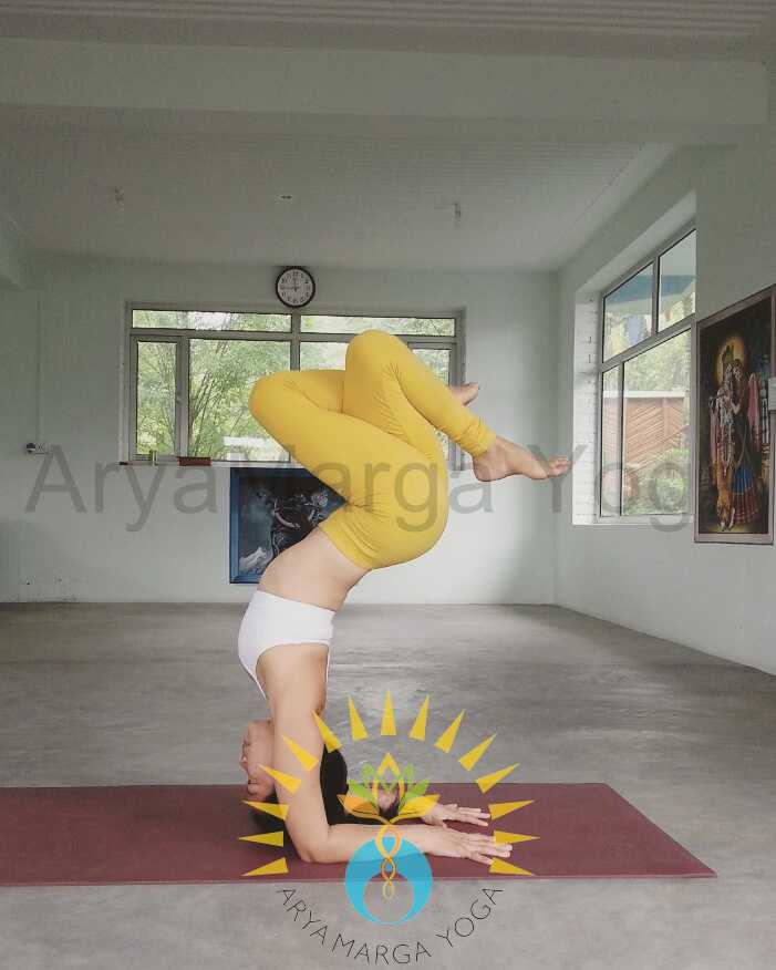 Aryamarga Yoga Institute India
