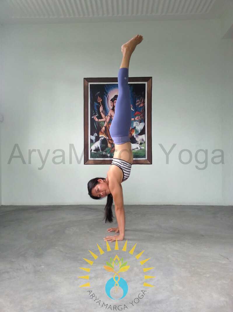 Aryamarga Yoga Institute 