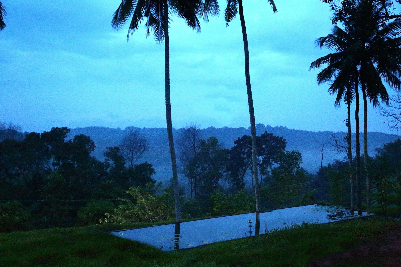 Ayurmana Advanced Ayurveda Center For Healing