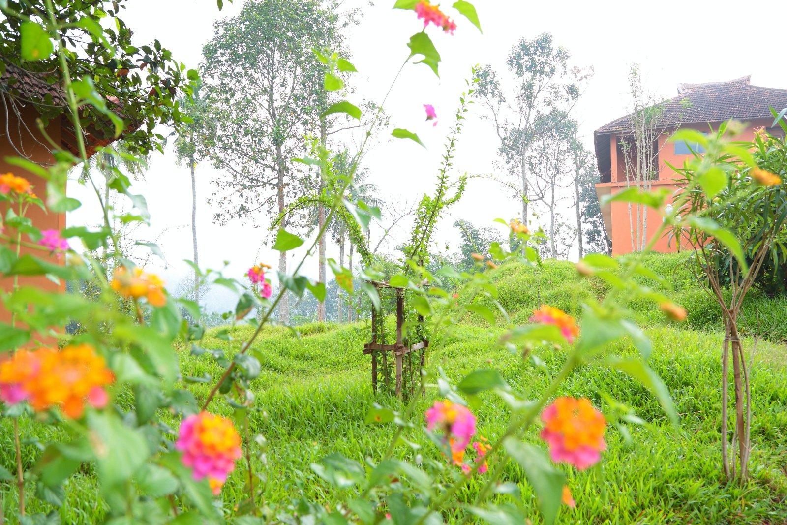 Ayurmana Advanced Ayurveda Center For Healing Uliyazhathura
