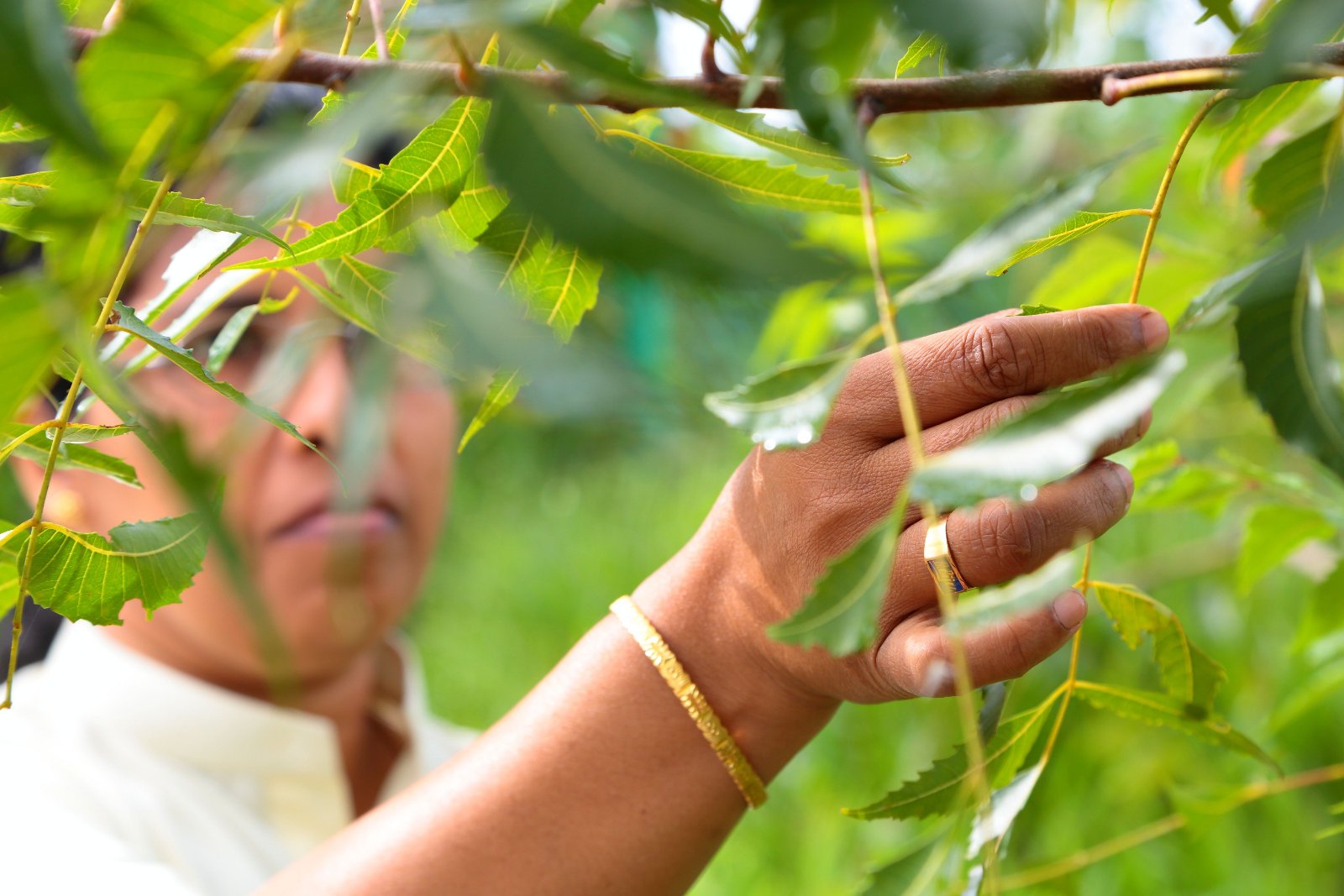 Ayurmana Advanced Ayurveda Center For Healing India