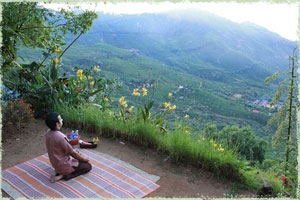 Blackberry Hills Ayurveda Retreat And Spa India