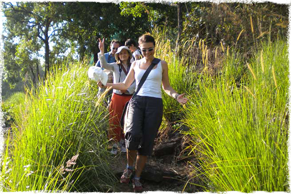 Blackberry Hills Ayurveda Retreat And Spa