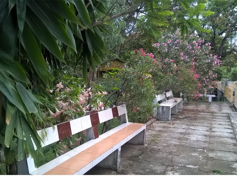 Cure Monastery Holistic Wellness Retreat India