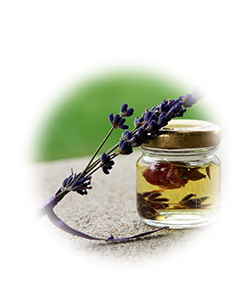Dr. Veena's Ayurmantra Ayurveda Center India