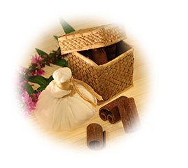 Dr. Veena's Ayurmantra Ayurveda Center 