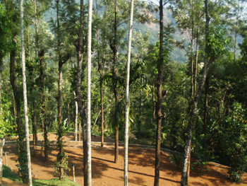  India