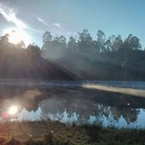 Kodai Ayurveda Retreat 