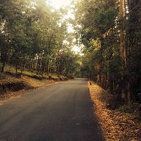 Kodai Ayurveda Retreat India