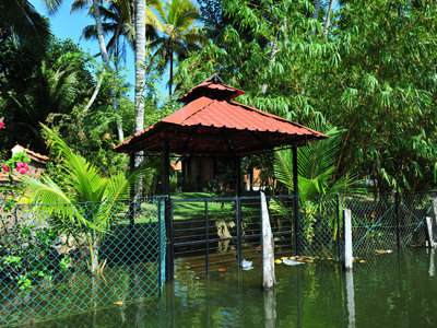 Mithra Hermitage Ayurveda And Panchakarma Center India