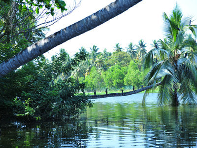 Mithra Hermitage Ayurveda And Panchakarma Center 