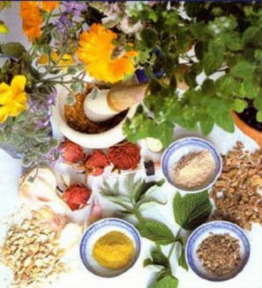 Prakash Nethralaya Ayurveda Eye And General Hospital India