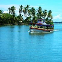 Punnamada Ayurveda Backwater Resort And Spa 
