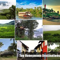 Punnamada Ayurveda Backwater Resort And Spa 