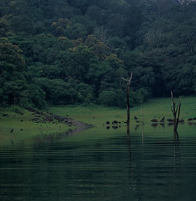  Thekkady