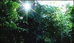 Sangsurya Retreat Center 