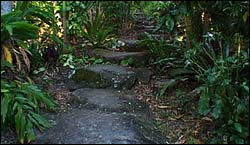  Byron Bay