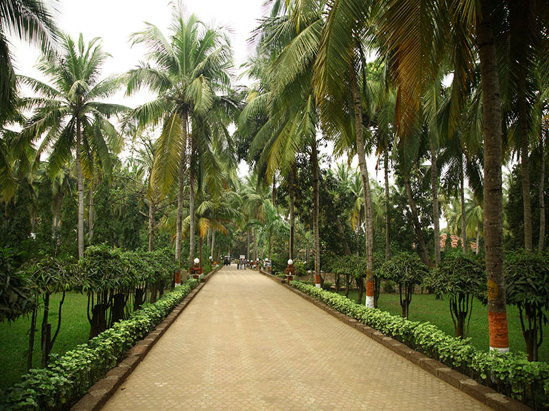 Toshali Sands Ayurveda Resort 