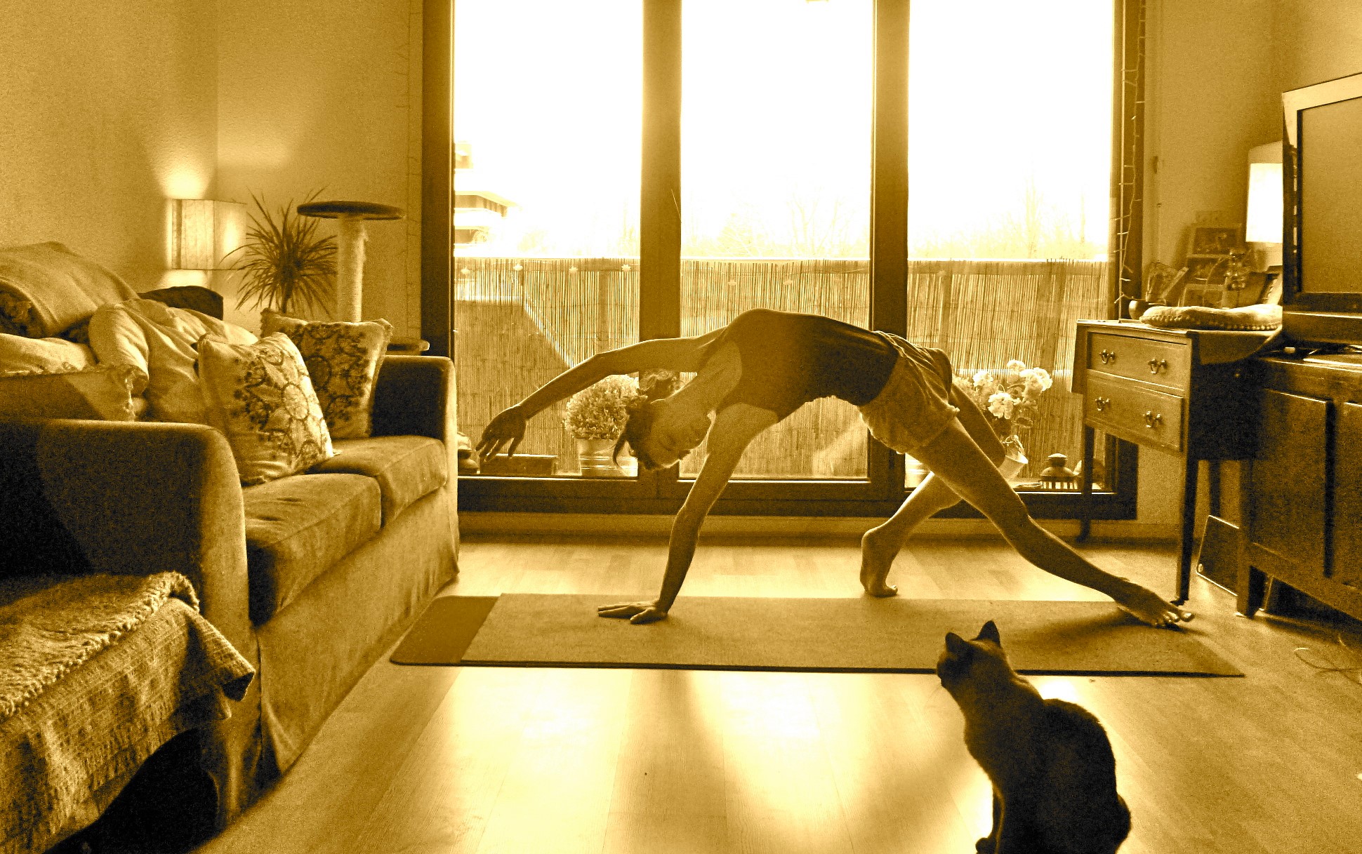 Indiv Yoga Studio