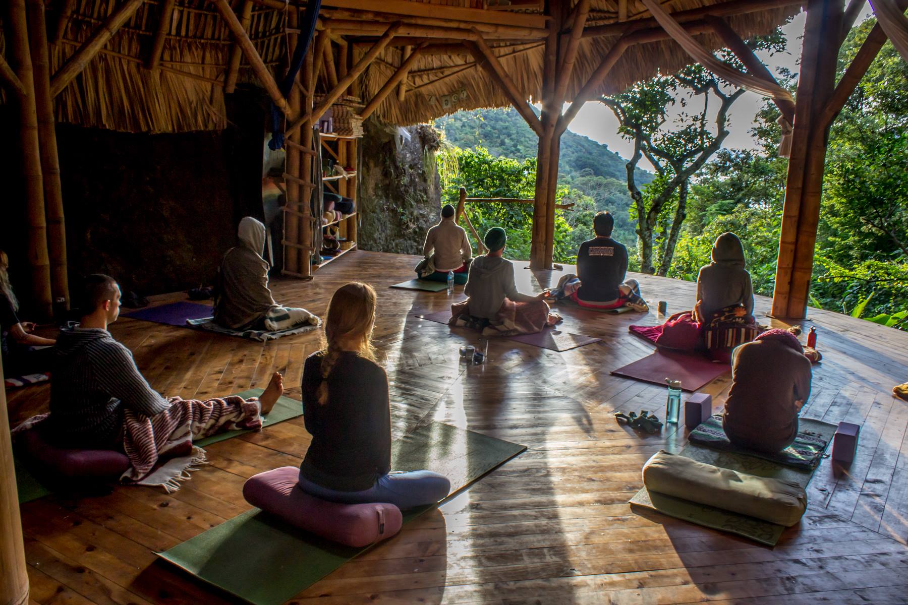 Kula Collective Yoga Training Center 