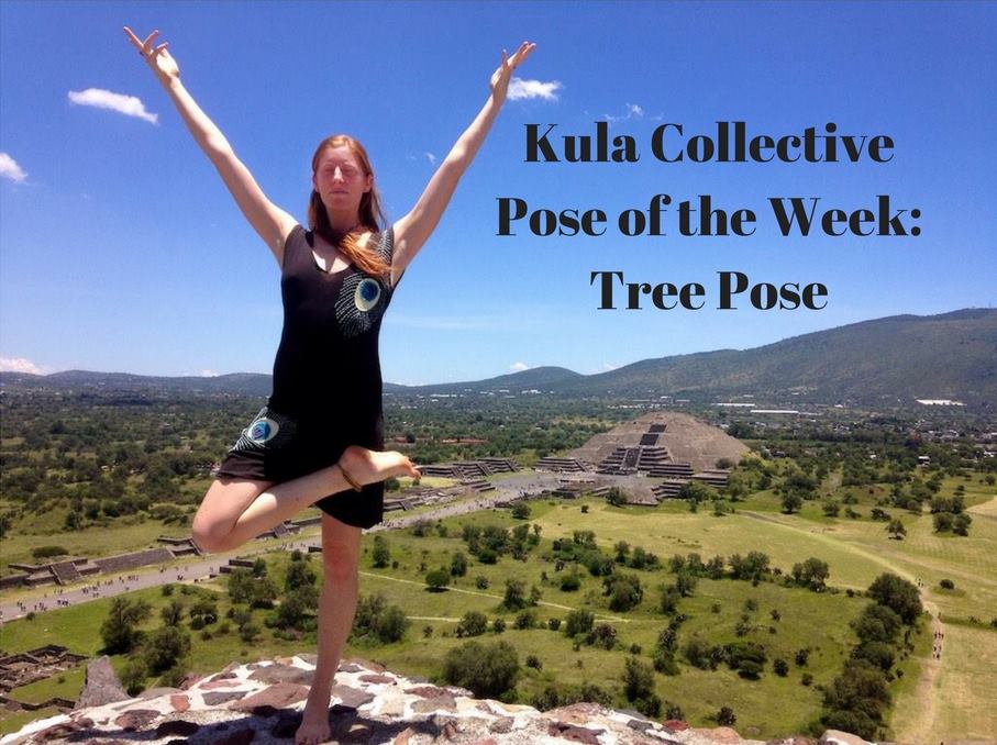 Kula Collective Yoga Training Center