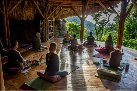 Kula Collective Yoga Training Center
