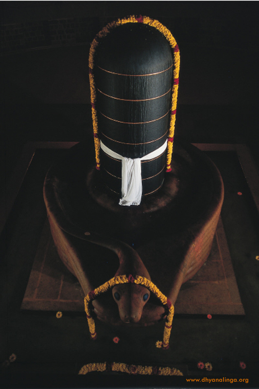 Dhyanalinga Meditation And Yoga Center Coimbatore