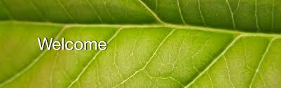 Hampton Roads Hypnosis United States