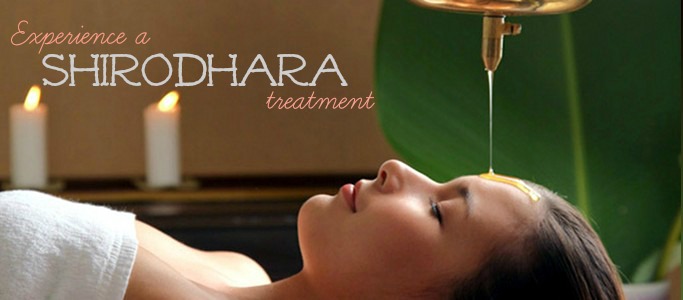 Jothi Vita Ayurvedic Spa And Wellbeing Center Hollywood