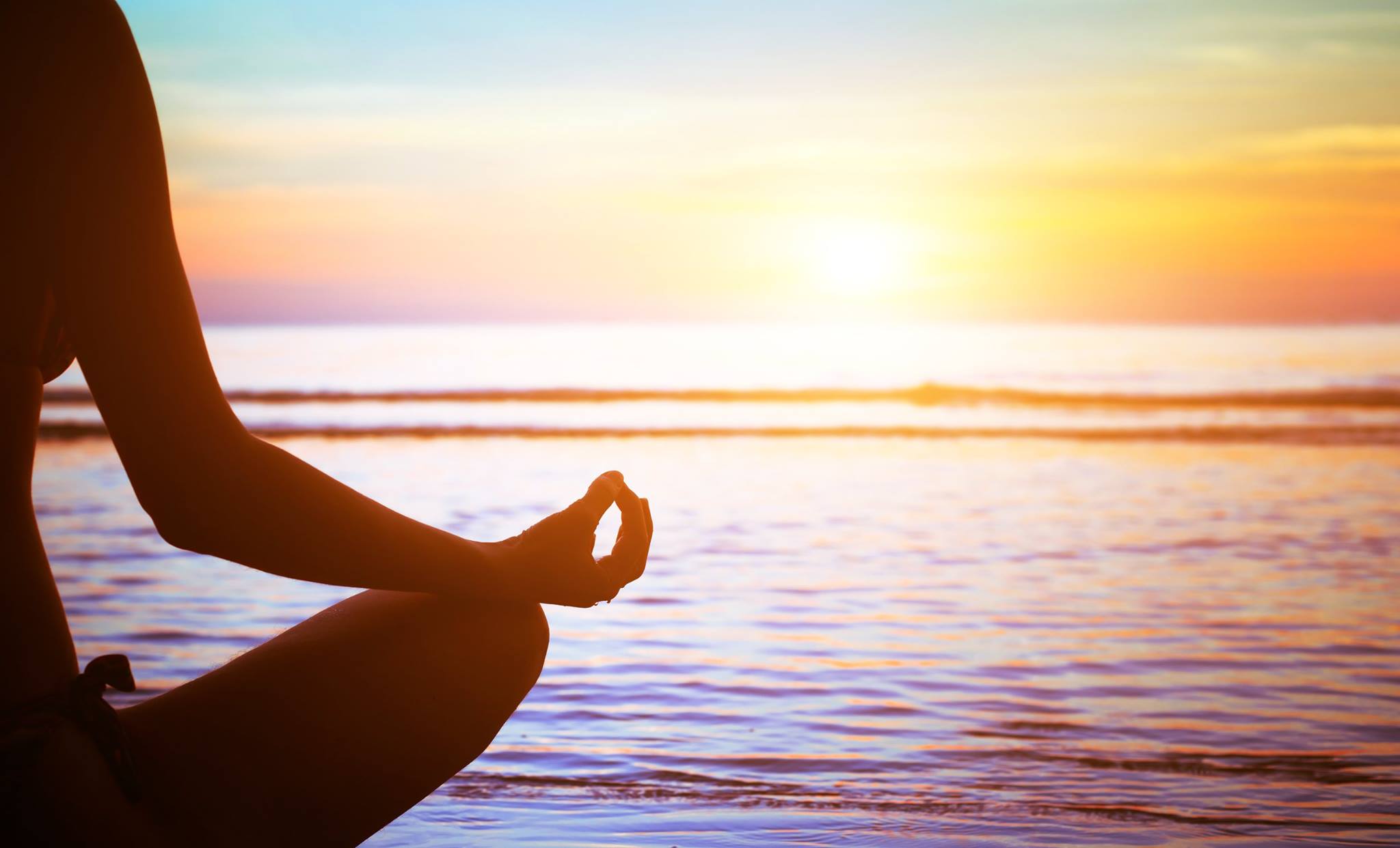 Jothi Vita Ayurvedic Spa And Wellbeing Center Hollywood
