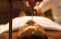Sreedhari Ayurvedic Resort And Hospital 