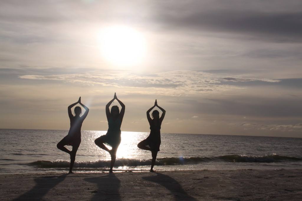 The Studio Yoga And Fitness 