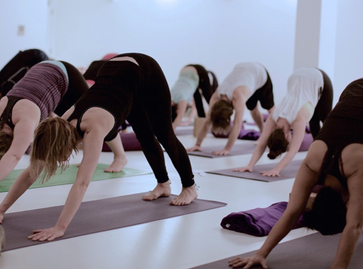 Timeless Yoga 