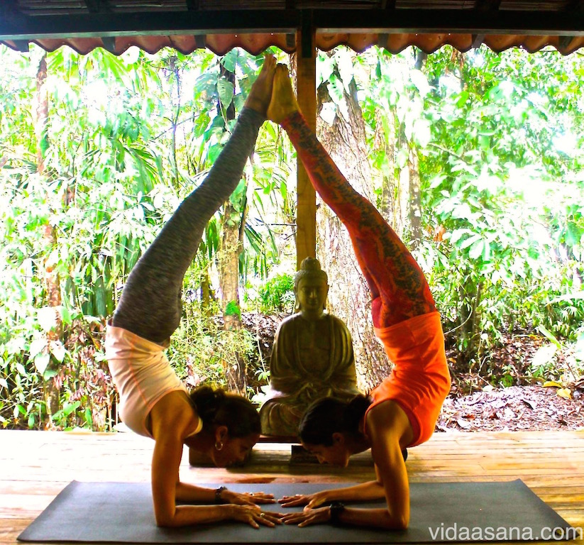 Vida Asana School Of Yoga Hermosa Beach