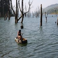 Wayanad Nature Resort Kochi