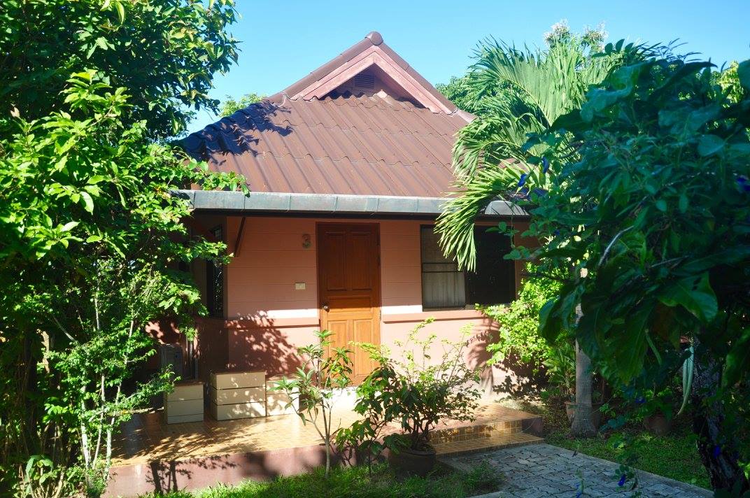Wise Living Yoga Academy
